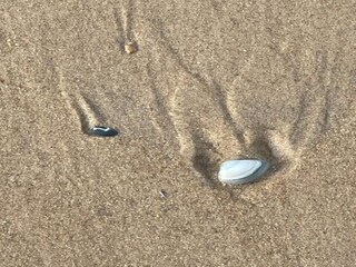 Appartamento Ostende  39