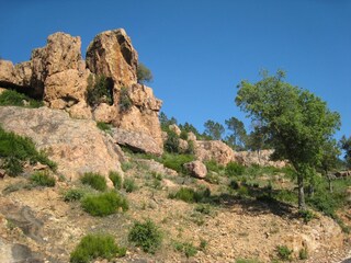 Villa Bagnols-en-Forêt Environment 31