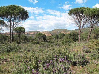 Villa Bagnols-en-Forêt Environnement 35