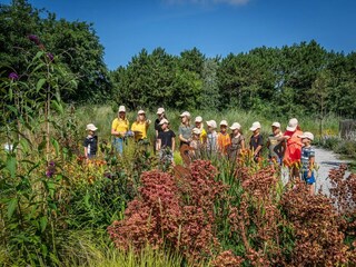 Parque de vacaciones De Cocksdorp  18