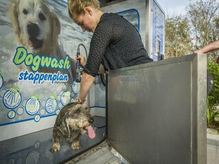 Vakantiepark De Cocksdorp  16