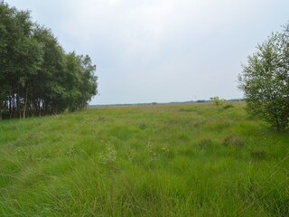 Vakantiehuis Hoge Hexel Omgeving 18