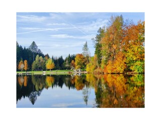 Waldsee im Herbst