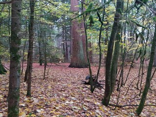 Casa per le vacanze Weberin Ambiente 28