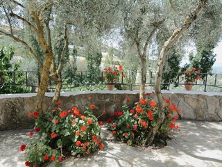 Casa vacanze Valle de Abdalajís Registrazione all'aperto 4