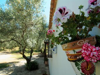 Vakantiehuisje Valle de Abdalajís Buitenaudio-opname 10