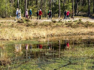 Vakantiepark Boxtel Omgeving 22