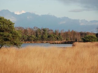 Vakantiepark Boxtel Omgeving 32