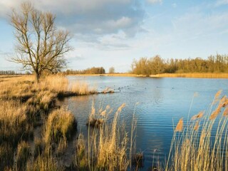 Vakantiepark Boxtel Omgeving 29