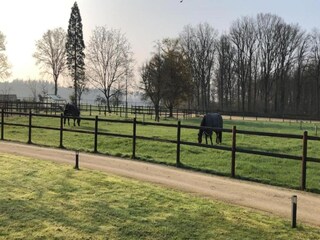 Vakantiepark Boxtel Omgeving 33