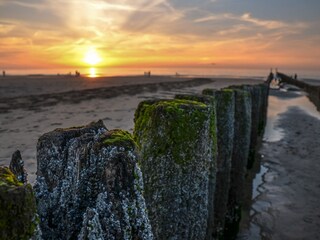 Vakantieappartement Domburg Omgeving 26