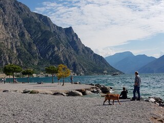 Vakantieappartement Limone sul Garda Omgeving 15