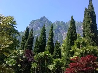 Holiday house Limone sul Garda Environment 19