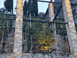 Casa per le vacanze Limone sul Garda Ambiente 18