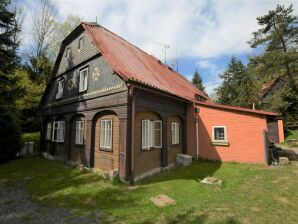 Geräumiges Ferienhaus in Krásná Lípa mit eigenem Garten - Horní Podluží - image1