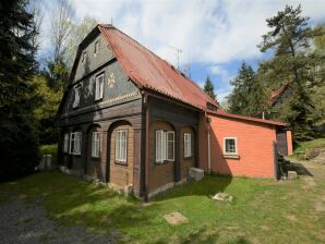 Geräumiges Ferienhaus in Krásná Lípa mit eigenem Garten - Horní Podluží - image1