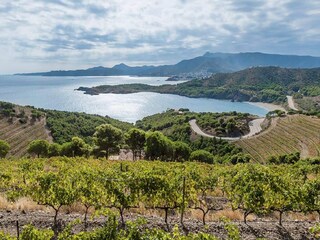 Villa Garriguella Environnement 37