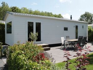 Holiday park Tidy chalet with a microwave, near the Wadden Sea - Tzummarum - image1