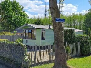 Holiday park Cozy chalet with spacious garden in Friesland - Tzummarum - image1