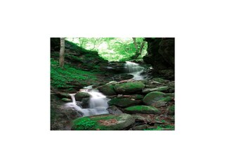 Apartment Afritz am See Environment 49