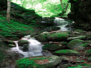 Apartment Afritz am See Umgebung 10