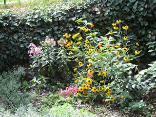 Casa vacanze Musso Registrazione all'aperto 6