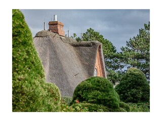 Casa de vacaciones Kampen Grabación al aire libre 3
