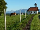 Das Alpenvorland - Motiv in Lengenwang