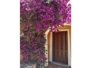 Eingang zu einem Schlafzimmer vom Garten