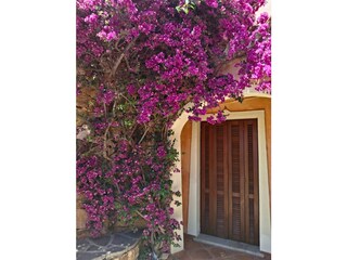 Vakantieappartement Porto San Paolo Buitenaudio-opname 5