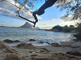 Appartamento per vacanze Porto San Paolo Ambiente 35