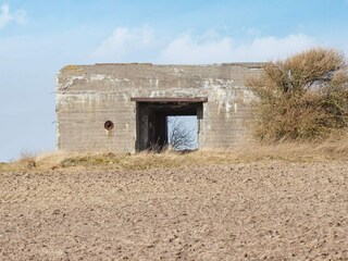 Maison de vacances Gjellerodde  11
