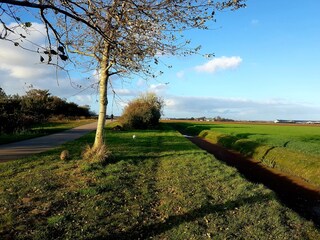 Appartamento per vacanze Julianadorp Ambiente 25