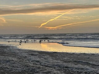 Ferienhaus Henne Strand  34