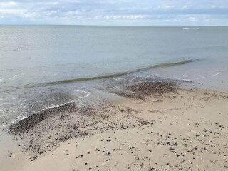 Ferienhaus Henne Strand  21