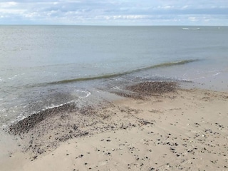 Ferienhaus Henne Strand  7