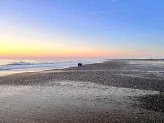 Ferienhaus Henne Strand  22