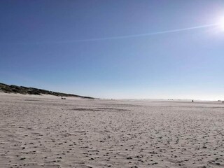 Ferienhaus Henne Strand  44