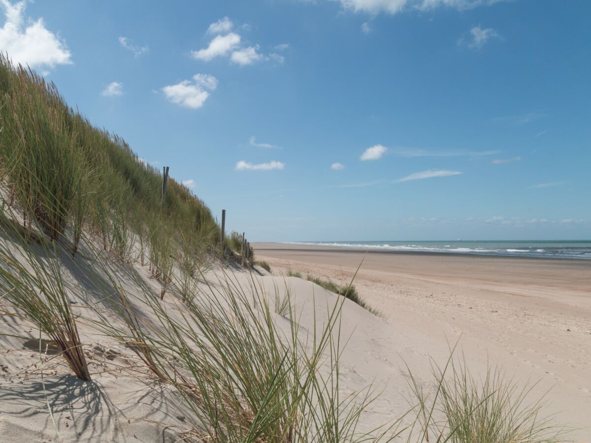 Ferienpark Oye-Plage Umgebung 14