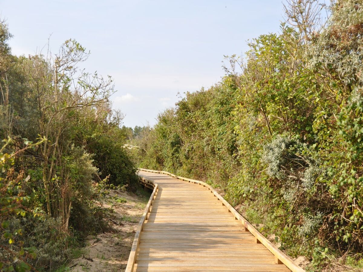 Ferienpark Oye-Plage Umgebung 19