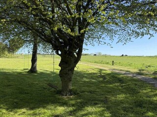 Maison de vacances Vorupør  8