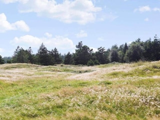 Ferienhaus Vorupør  9