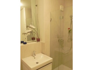 Shower bath. Additional separate guest toilet