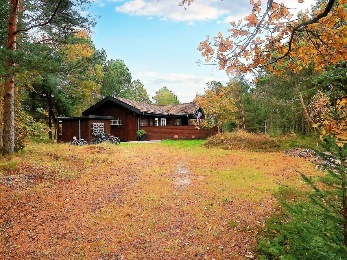 Ferienhaus Aalbæk Außenaufnahme 2