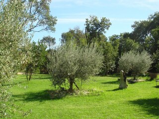 Vakantiepark Poggio-Mezzana Buitenaudio-opname 3