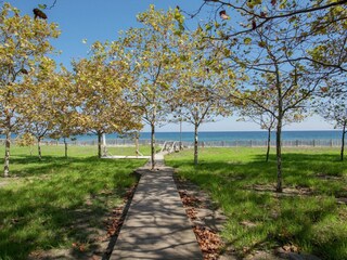 Parc de vacances Poggio-Mezzana Environnement 29