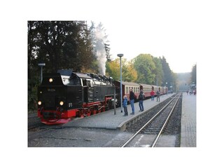 Ferienwohnung Bad Harzburg Umgebung 35