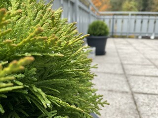 Foto 29.10.23, 16 22 09