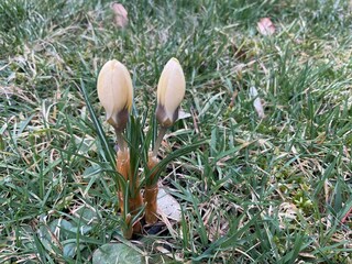 IMG_1063