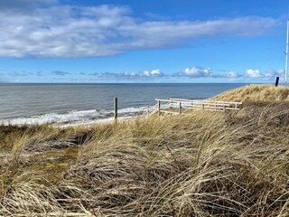 Strand/Landschaft